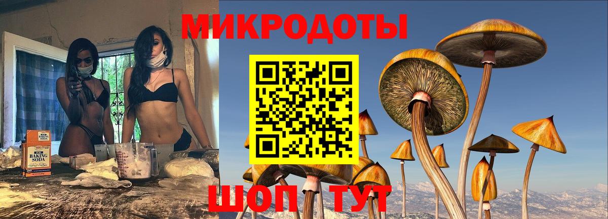 Галлюциногенные грибы Psilocybe Краснотурьинск