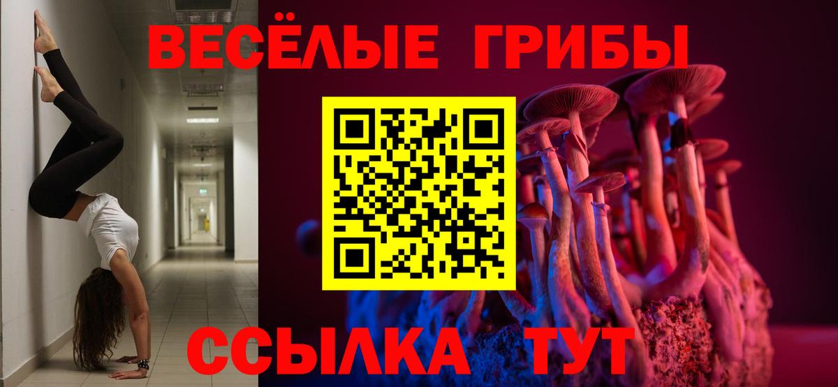 Краснотурьинск  Псилоцибиновые грибы MAGIC MUSHROOMS  Псилоцибиновые грибы прущие грибы  Вход с VPN 
